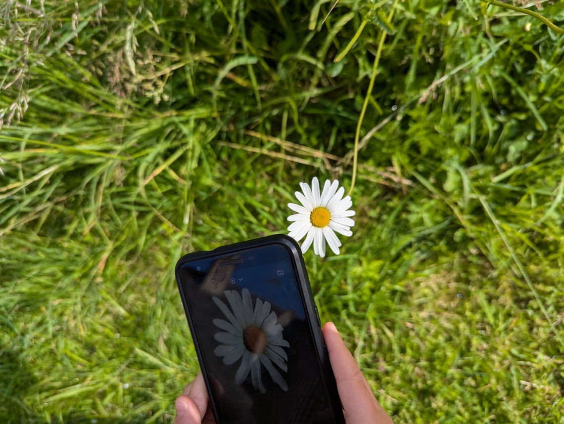 Child taking a nature photo